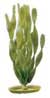 Растение пластиковое Hagen зеленое Валлиснерия широкий лист 20см (PP-814)
