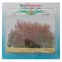 Перистолистник красный (Red Foxtail) 10см, растение пластиковое TetraPlantastics®, Tetra (Tet-606876)