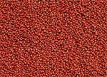 Sera granured (Sera грануред) гранулы 1000 мл - гранулированный корм для плотоядных цихлид, усиливает окрас (s-0406)